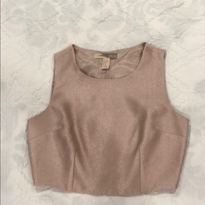 Blush gold shimmery crop top